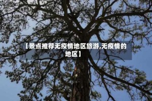 【景点推荐无疫情地区旅游,无疫情的地区】
