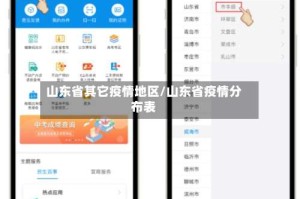 山东省其它疫情地区/山东省疫情分布表