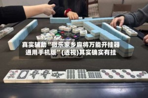 真实辅助“微乐家乡麻将万能开挂器通用手机版”(透视)其实确实有挂