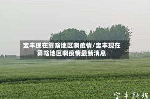 宝丰现在算啥地区啊疫情/宝丰现在算啥地区啊疫情最新消息
