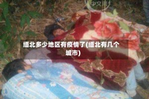 缅北多少地区有疫情了(缅北有几个城市)