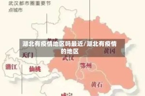 湖北有疫情地区吗最近/湖北有疫情的地区
