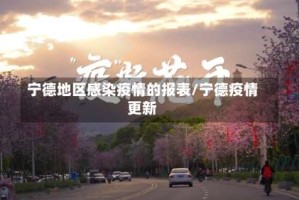 宁德地区感染疫情的报表/宁德疫情更新