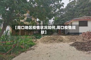 【周口地区疫情状况如何,周口疫情现状】