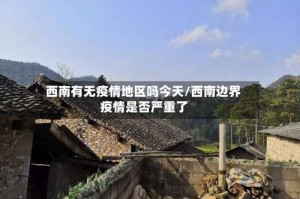 西南有无疫情地区吗今天/西南边界疫情是否严重了