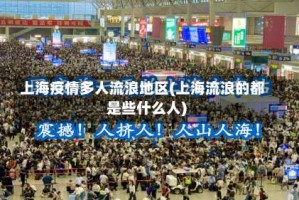 上海疫情多人流浪地区(上海流浪的都是些什么人)