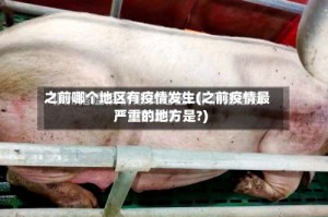 之前哪个地区有疫情发生(之前疫情最严重的地方是?)