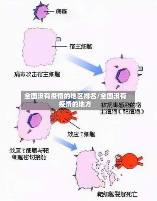 全国没有疫情的地区排名/全国没有疫情的地方-第2张图片