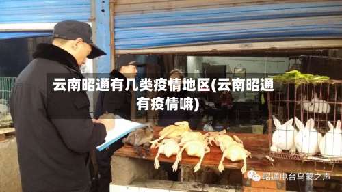 云南昭通有几类疫情地区(云南昭通有疫情嘛)-第2张图片