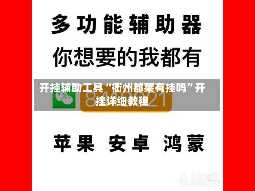 开挂辅助工具“衢州都莱有挂吗	”开挂详细教程-第2张图片