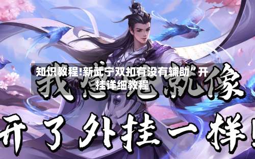 知识教程!新武宁双扣有没有辅助	”开挂详细教程-第1张图片