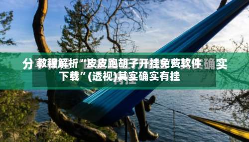 教程解析“皮皮跑胡子开挂免费软件下载	”(透视)其实确实有挂-第1张图片