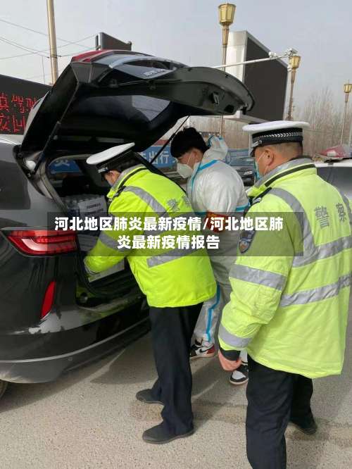 河北地区肺炎最新疫情/河北地区肺炎最新疫情报告-第1张图片