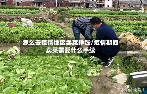 怎么去疫情地区卖菜挣钱/疫情期间卖菜需要什么手续-第3张图片