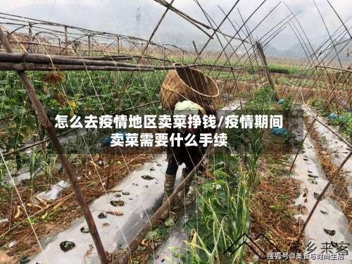 怎么去疫情地区卖菜挣钱/疫情期间卖菜需要什么手续-第2张图片