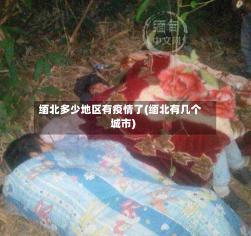 缅北多少地区有疫情了(缅北有几个城市)-第1张图片