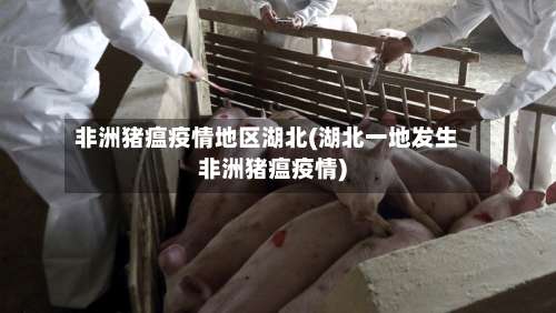 非洲猪瘟疫情地区湖北(湖北一地发生非洲猪瘟疫情)-第3张图片