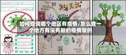 如何查询哪个地区有疫情/怎么查一个地方有没有新的疫情案例-第2张图片