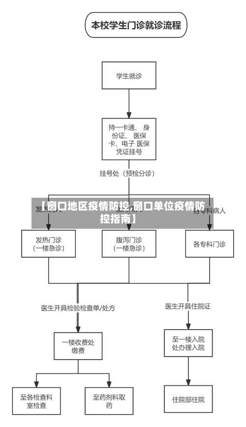 【窗口地区疫情防控,窗口单位疫情防控指南】-第1张图片