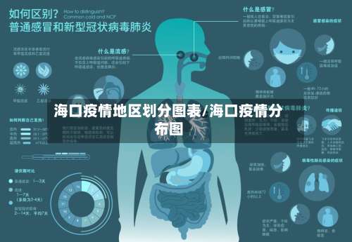 海口疫情地区划分图表/海口疫情分布图-第2张图片