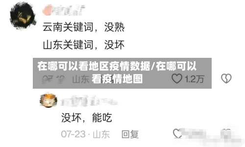 在哪可以看地区疫情数据/在哪可以看疫情地图-第1张图片
