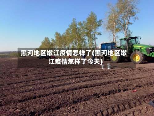 黑河地区嫩江疫情怎样了(黑河地区嫩江疫情怎样了今天)-第2张图片