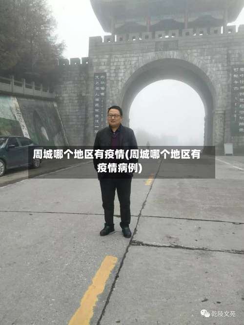 周城哪个地区有疫情(周城哪个地区有疫情病例)-第3张图片
