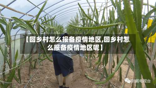 【回乡村怎么报备疫情地区,回乡村怎么报备疫情地区呢】-第3张图片