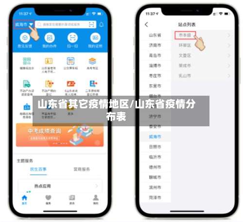 山东省其它疫情地区/山东省疫情分布表-第1张图片