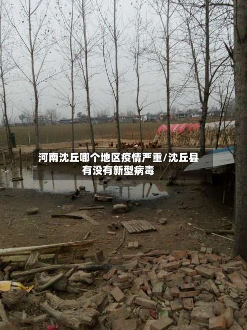 河南沈丘哪个地区疫情严重/沈丘县有没有新型病毒-第2张图片