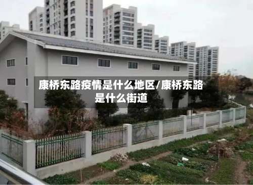 康桥东路疫情是什么地区/康桥东路是什么街道-第1张图片