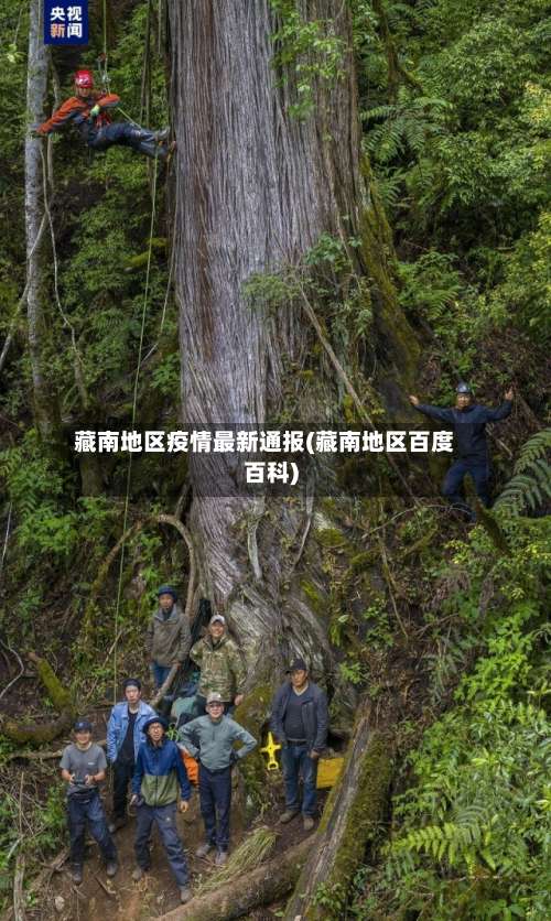 藏南地区疫情最新通报(藏南地区百度百科)-第2张图片