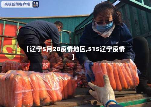 【辽宁5月28疫情地区,515辽宁疫情】-第1张图片
