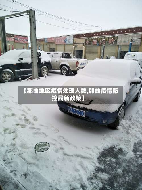 【那曲地区疫情处理人数,那曲疫情防控最新政策】-第1张图片