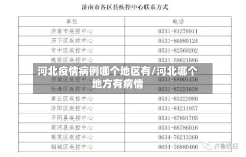 河北疫情病例哪个地区有/河北哪个地方有病情-第1张图片
