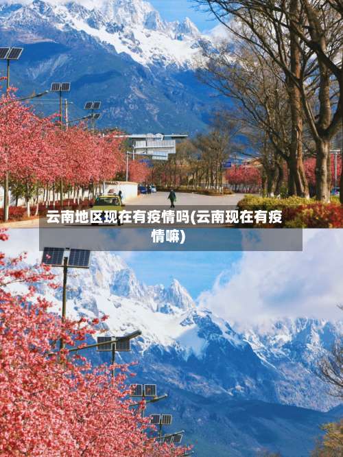 云南地区现在有疫情吗(云南现在有疫情嘛)-第1张图片